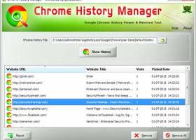 Chrome History Manager screenshot