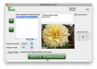 Tbw - windows watermark sotware screenshot