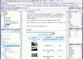 oXygen XML Editor and XSLT Debugger screenshot