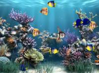 AW-Mill Aquarium Animated Wallpaper screenshot