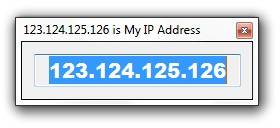 Display IP Address screenshot