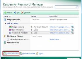 Kaspersky Password Manager screenshot