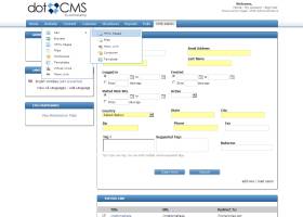 dotCMS Community Edition x64 screenshot