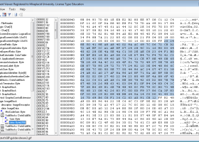 Miraplacid Binary and Text DOM SDK screenshot