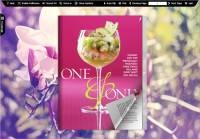Flash Magazine Themes for Illusion Style screenshot
