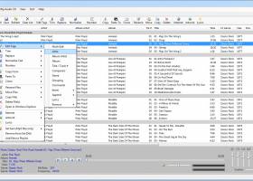 MP3 Tag Express screenshot