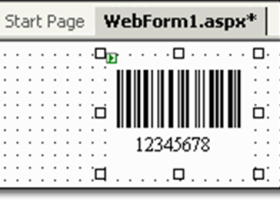 ASP.NET 2D Barcode Web Server Control screenshot