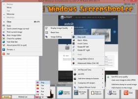 AutoIt Windows Screenshooter screenshot