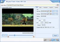 Moyea Flash Video MX Std screenshot