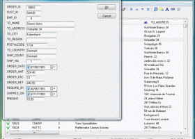 Advanced DBF Editor screenshot