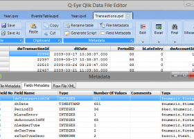 Q-Eye QVD/QVX files Editor (64 Bit) screenshot