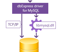 dbExpress driver for MySQL screenshot