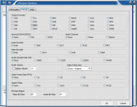 Toolwiz Player and Converter screenshot