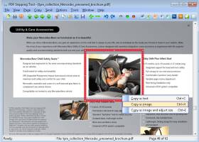 PDF Snipping Tool screenshot