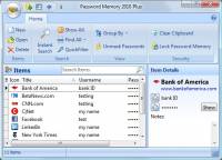 Password Memory 2010 screenshot