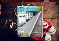 Flash Magazine Theme for Plimsolls Style screenshot
