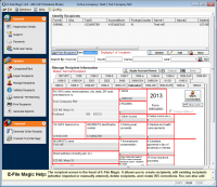 E-File Magic screenshot