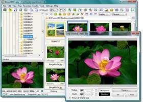 Faststone Image Viewer screenshot