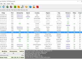 Elite Proxy Switcher screenshot