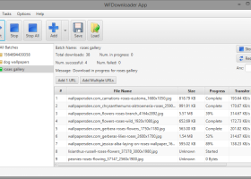 WFDownloader App screenshot