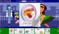 Flash Flip Templates of Relaxation Style screenshot