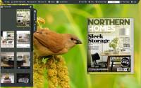 Flipping Book Themes of Bird Style screenshot