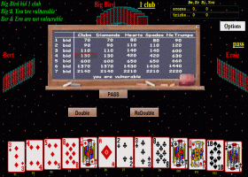 BRIDGE Card Game From Special K screenshot