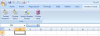 Excel Number Date Format screenshot