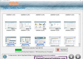 Digital Camera Undelete Tool screenshot