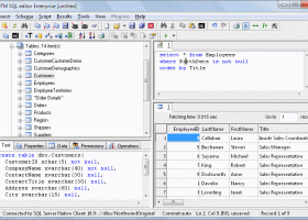 DTM SQL editor screenshot