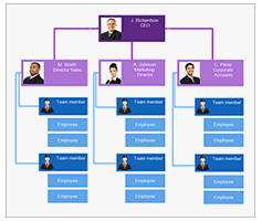 Nevron Diagram for .NET screenshot