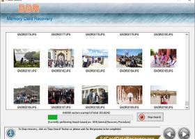 SD Card Data Recovery Software screenshot
