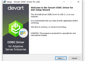 Devart ODBC Driver for SAP Sybase ASE screenshot
