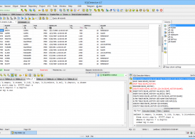 SQLDetective screenshot