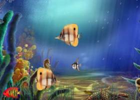 Animated Aquarium Screensaver screenshot