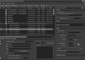 Pazera Free WMA to MP3 Converter screenshot