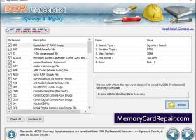 Professional Data Repair Software screenshot