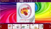 Beautity of Line Flipping Book Template screenshot