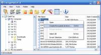 Encrypt4all Professional Edition screenshot