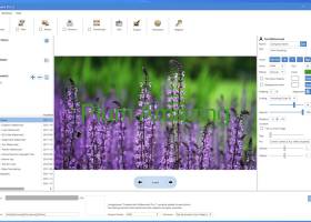 iWatermark Pro 2 for Windows screenshot