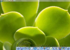 MAC DOCK screenshot