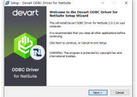 NetSuite ODBC Driver by Devart screenshot
