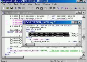 OpenEditor screenshot