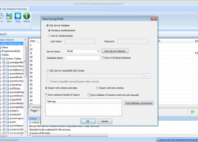 SQL Database Recovery screenshot