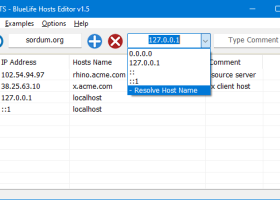 BlueLife Hosts Editor screenshot