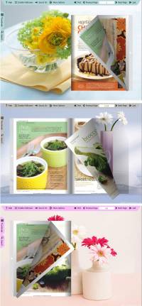Flipbook_Themes_Package_Spread_Delicacy screenshot