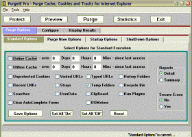 PurgeIE Pro screenshot