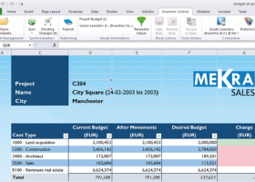 Invantive Control for Excel screenshot