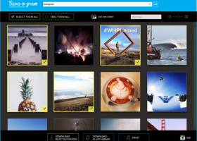 Save-o-gram Instagram Downloader screenshot