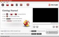 Pavtube DVD Ripper screenshot